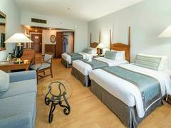 Zimmerbild 7