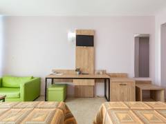 Zimmerbild 9