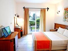 Zimmerbild 8