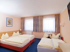 Zimmerbild 8