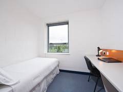 Zimmerbild 4