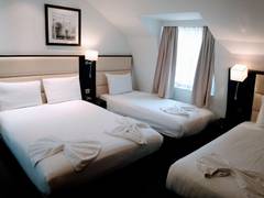 Zimmerbild 2