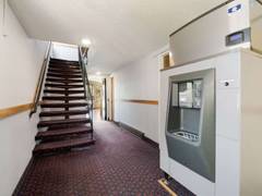 Zimmerbild 1