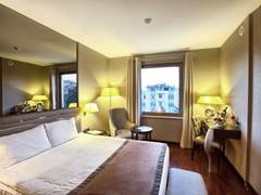 Zimmerbild 1