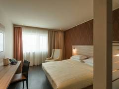 Zimmerbild 8