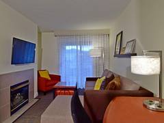 Zimmerbild 7