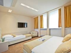 Zimmerbild 14
