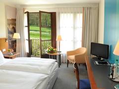 Zimmerbild 2
