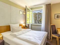 Zimmerbild 6