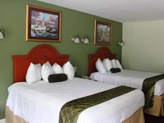 Zimmerbild 5