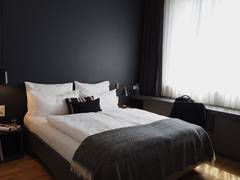 Zimmerbild 87