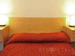 Zimmerbild 2