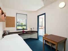Zimmerbild 1