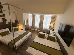 Zimmerbild 2
