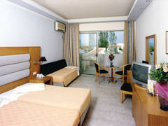 Zimmerbild 13