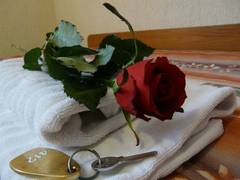 Zimmerbild 5