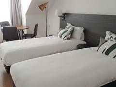 Zimmerbild 6
