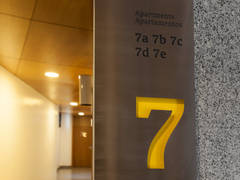 Zimmerbild 13