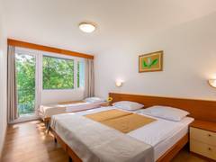 Zimmerbild 1