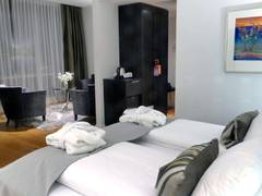 Zimmerbild 12