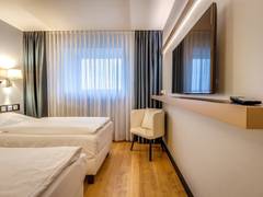 Zimmerbild 6