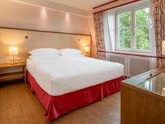 Zimmerbild 7