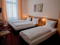 Zimmerbild 8