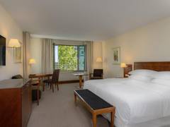 Zimmerbild 5