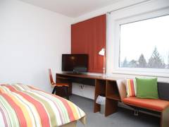 Zimmerbild 6