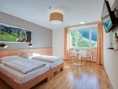 Zimmerbild 2