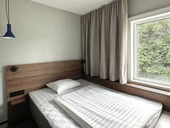 Zimmerbild 7