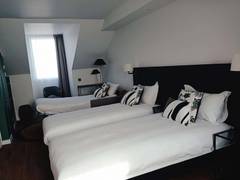 Zimmerbild 8