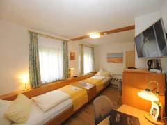 Zimmerbild 6