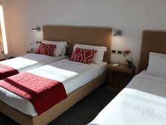 Zimmerbild 5