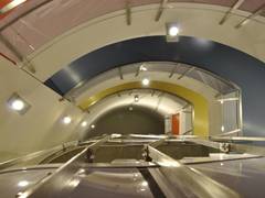 Zimmerbild 8