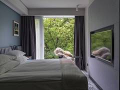 Zimmerbild 1