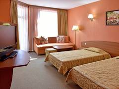 Zimmerbild 8