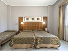 Zimmerbild 6
