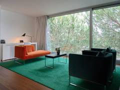 Zimmerbild 28