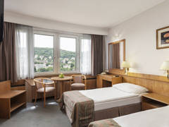 Zimmerbild 4