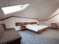 Zimmerbild 6