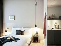 Zimmerbild 8