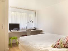 Zimmerbild 3