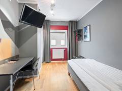 Zimmerbild 12