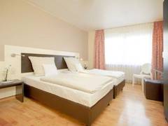 Zimmerbild 10
