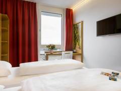 Zimmerbild 3