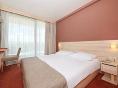 Zimmerbild 6