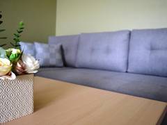 Zimmerbild 1