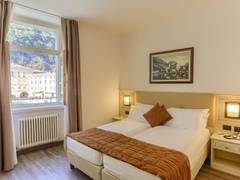 Zimmerbild 9
