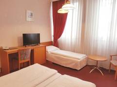 Zimmerbild 8